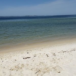 Meet your Posher, Laurie